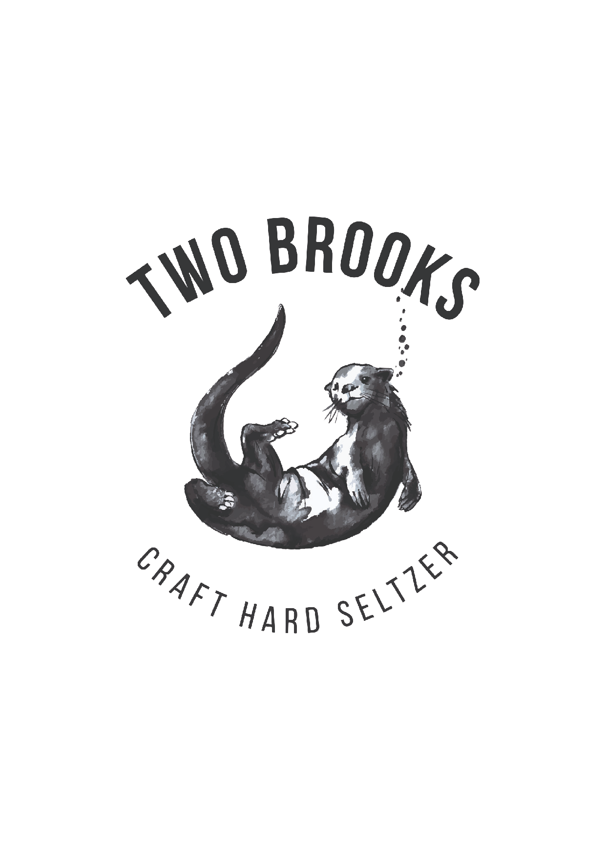 Loon Water Ltd T/A Two Brooks